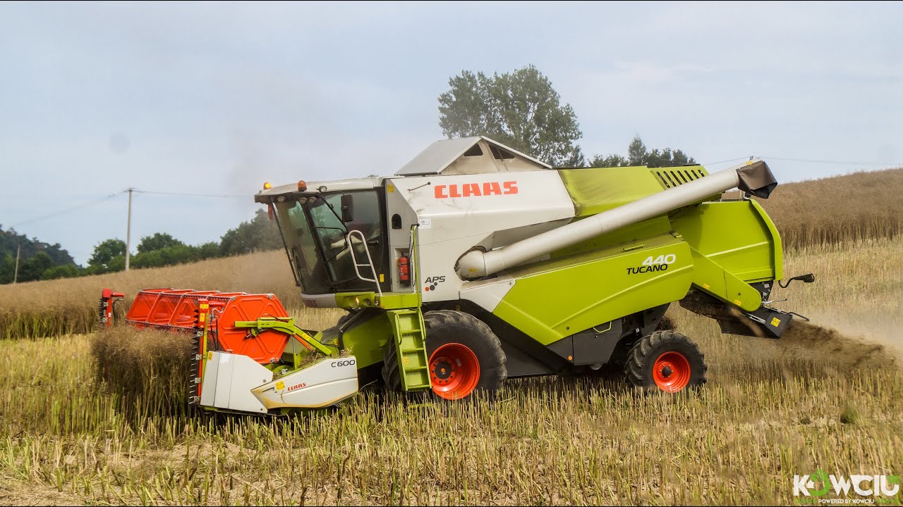 Żniwa Rzepaczane 2023 I GR Rosa I CLAAS Tucano 440 I DEUTZ FAHR 6155 I Kowciu181 & PhotoMarcin