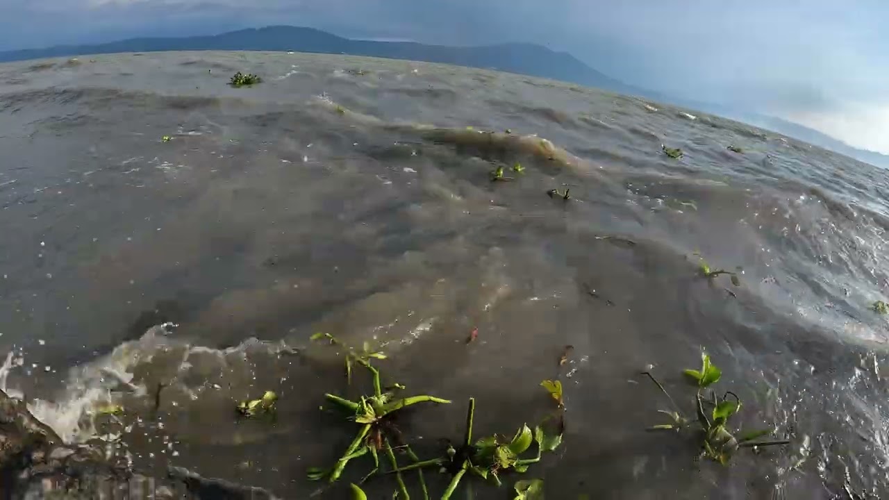 Se aloco el Lago de Chapala