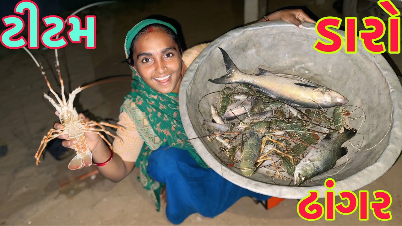 આજે ઘણી બધી મોટી મચ્છી આવી 🐠 dariya ma lobster fishing 🦞 dariyai khedut@Dhanjinimoj 