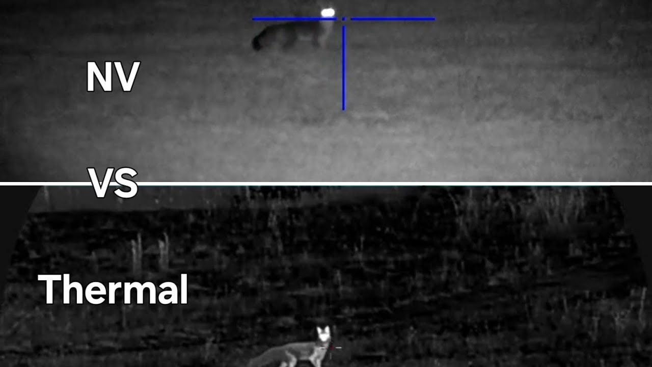 Night Vision VS Thermal Scope Showcase