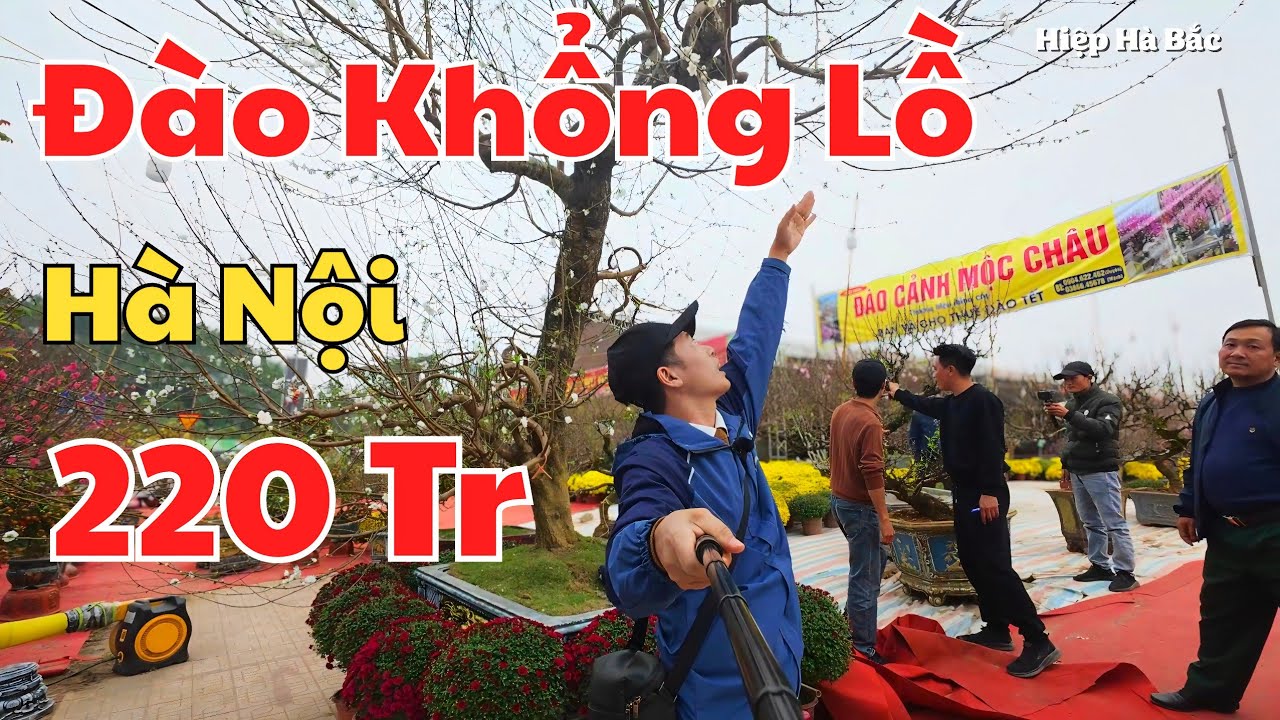 Đào hoa trắng 
