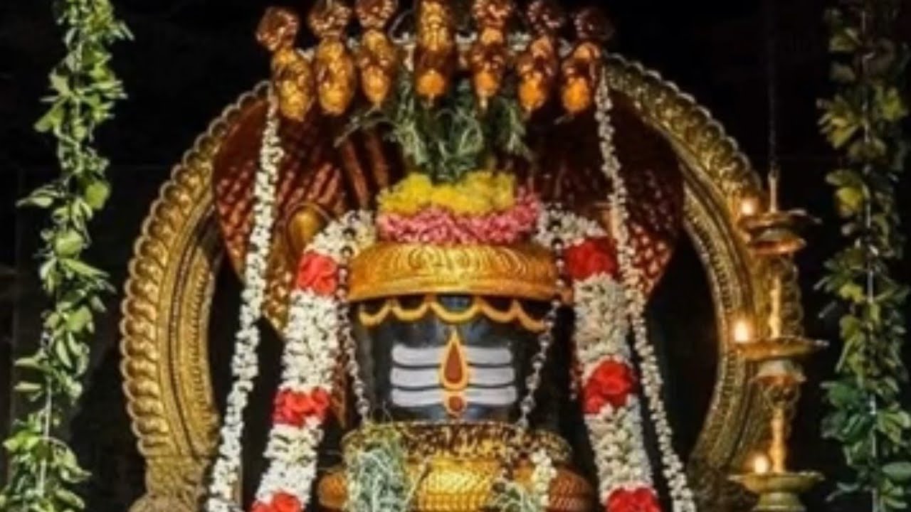 ஓம் நமசிவாய 108 Times | Om Namah Shivaya Tamil | Shiva Mantra Meditation Music