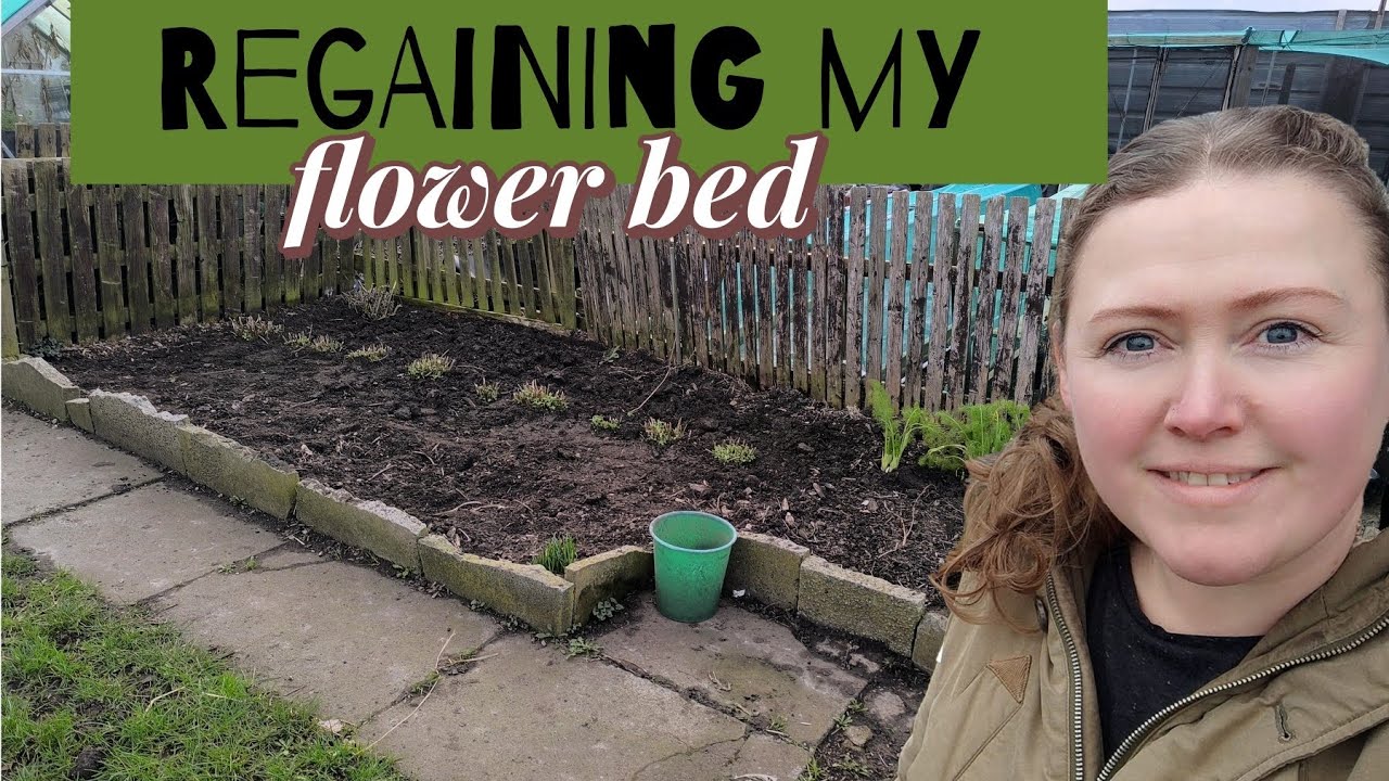 Regaining my flower bed - Kimmy's kitchen and garden #allotment 