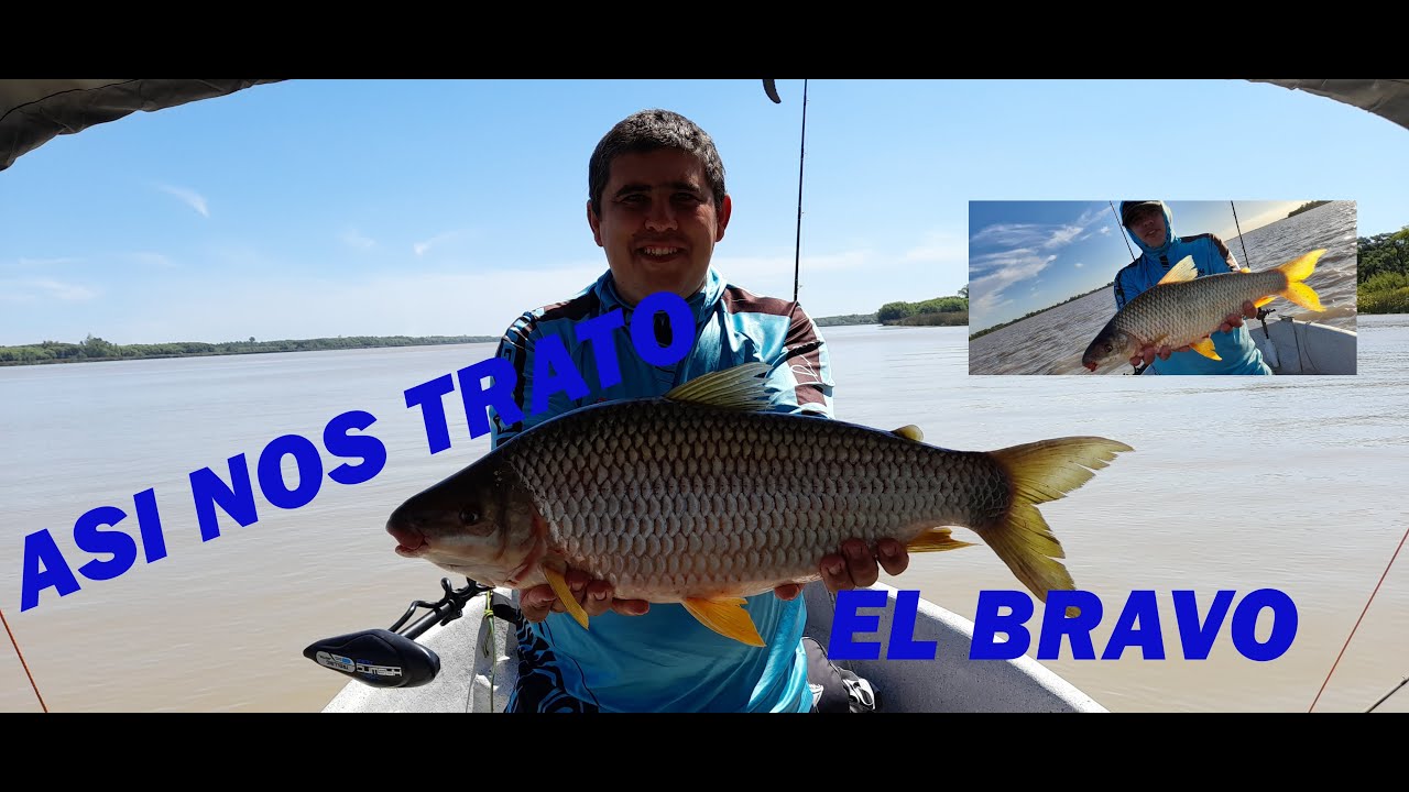 MIRA COMO NOS TRATO EL BRAVO PARA PODER PESCAR ESTAS BOGAS...PESCA CON AMIGOS 2022/GUAZU BRAVO/PESCA
