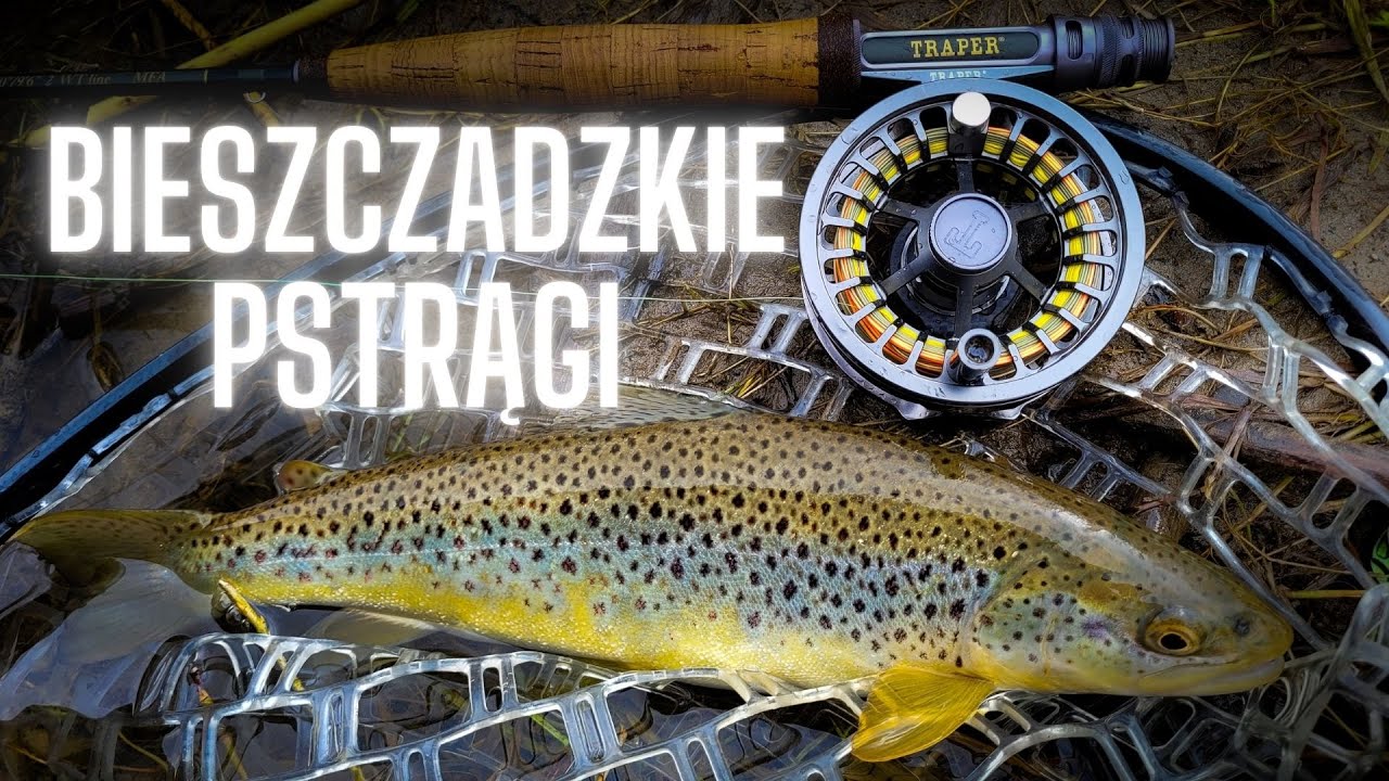 Bieszczadzkie pstrągi. KONKURS w opisie. #traper