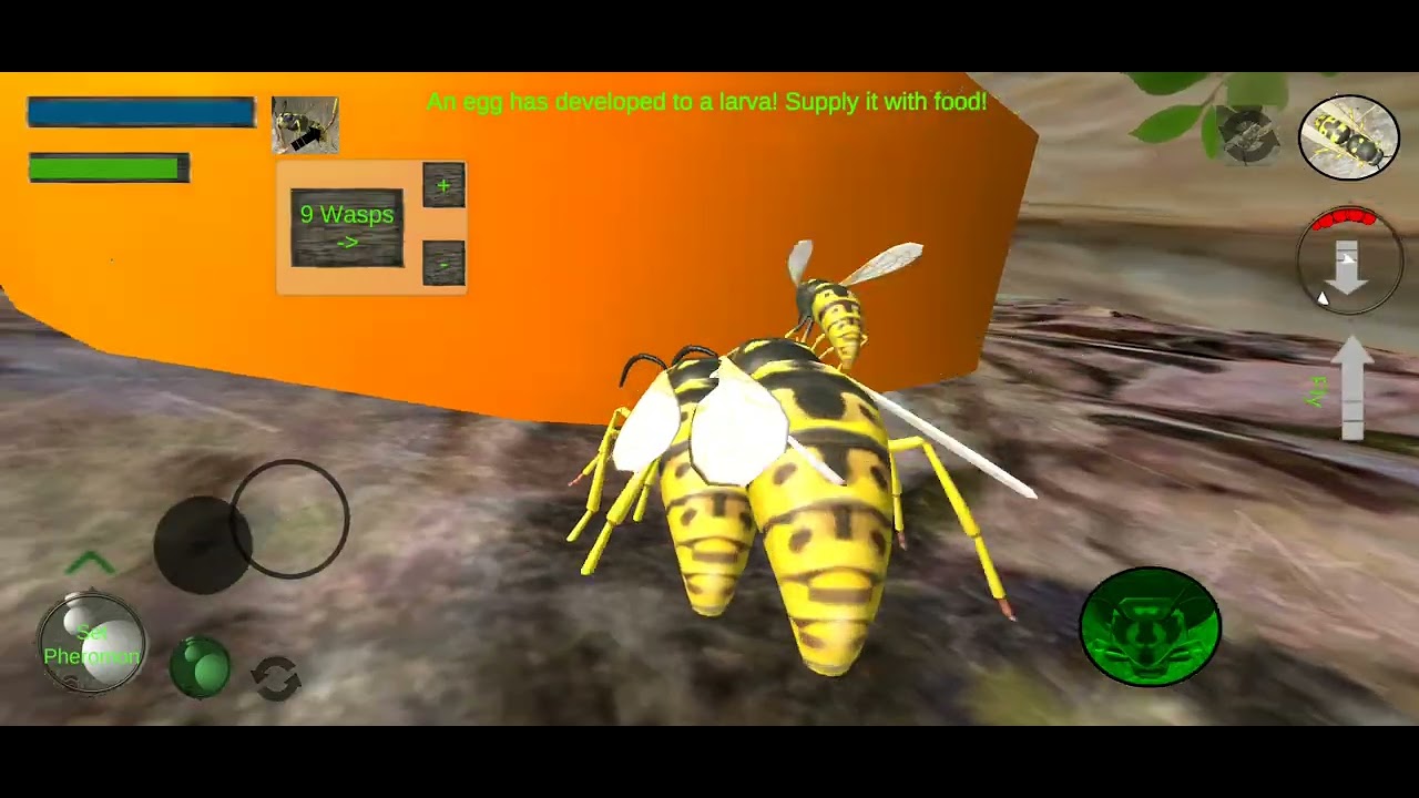 Wasp simulator part 1
