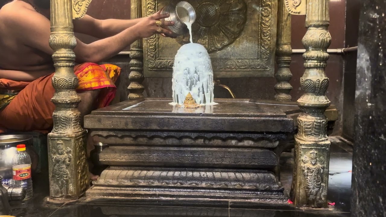 శ్రీ నాగేశ్వరస్వామి అభిషేకం| మహాశివ దర్శనం #SivaAbhishekam#siva#trending#om#temple#sullurpeta#hindu 