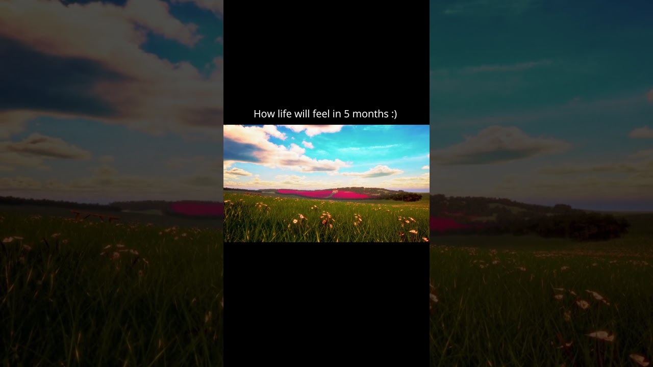 Calming countryside ambient sounds :)