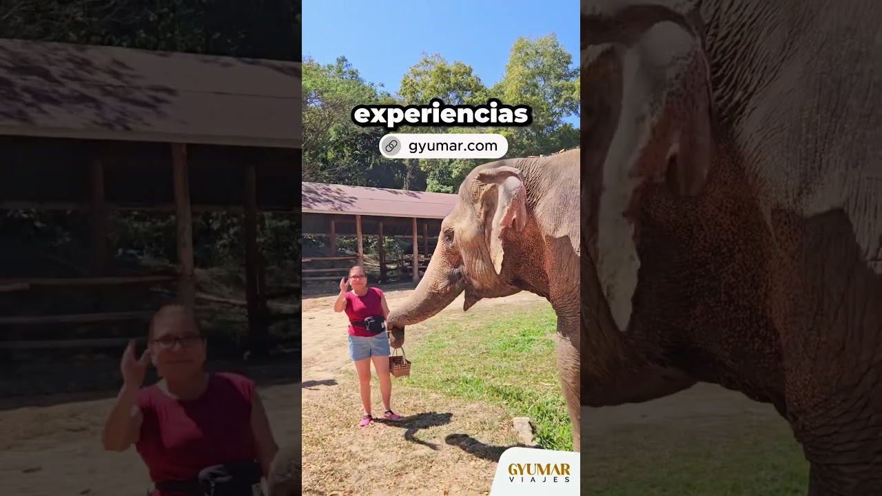 VIAJES EN GRUPO DESDE LIMA | NO VIAJES SOLA. 🙋🏻&zwj;♀️