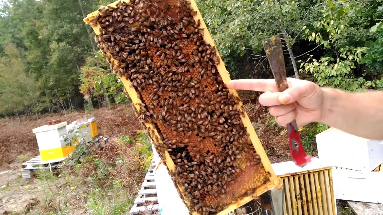 Pre-Winter Inspections