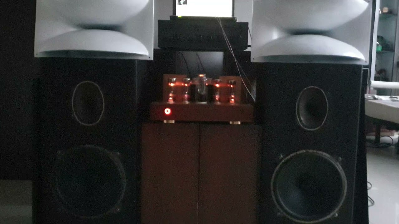 Vintage DIY ISOPHON Germany Loudspeaker hooked to DIY PushPull DIY Tube Amplifier