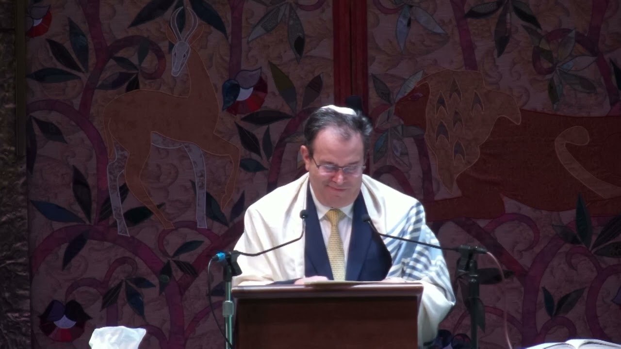Rabbi Steinhardt's Sermon - January 7, 2023