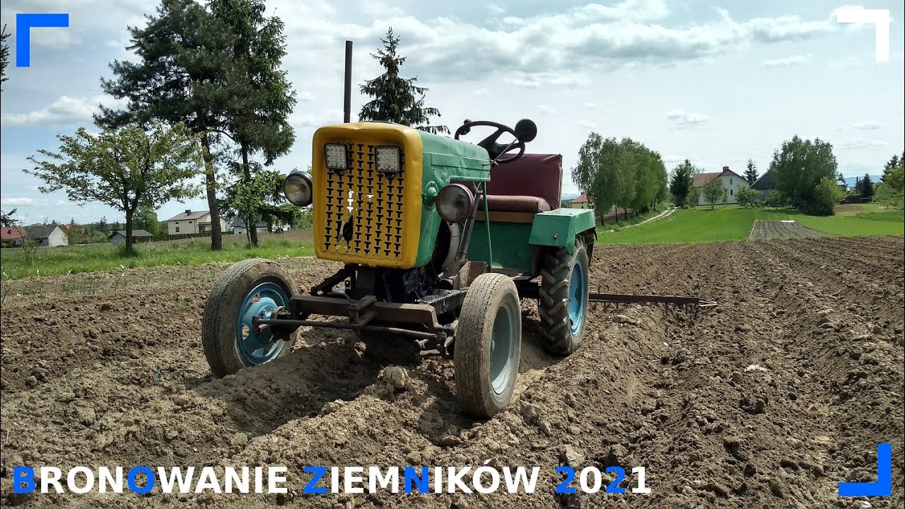 BRONOWANIE ZIEMIAKÓW ESIOKIEM 2021🌱 (andoria s-7 i brony trójki)🚜