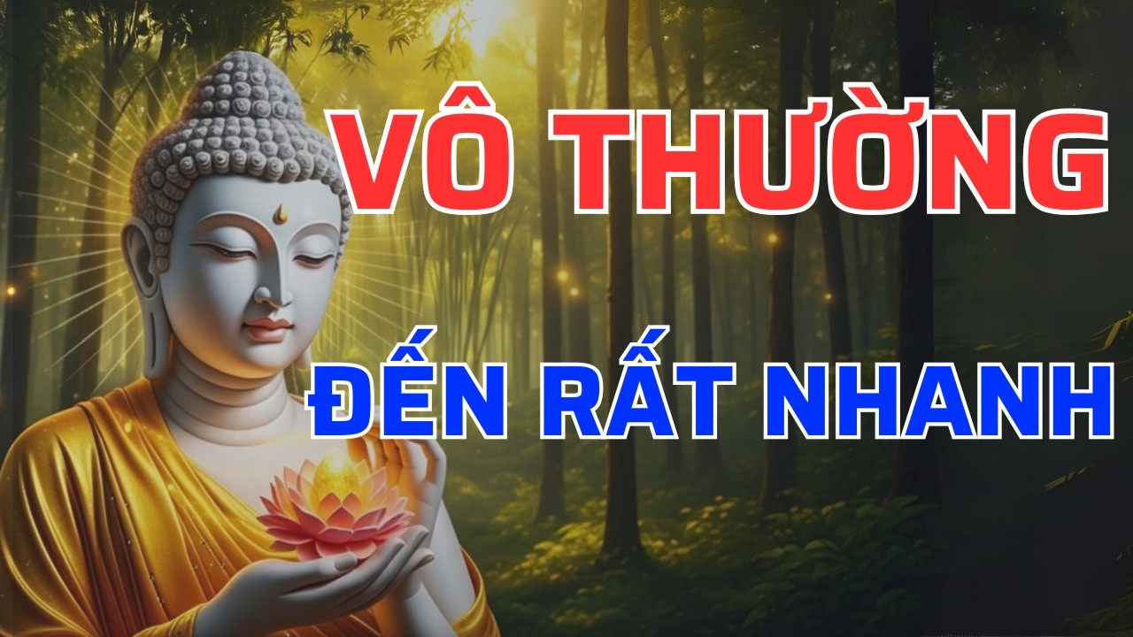 Vô Thường Đến Rất Nhanh – Lời Phật Dạy Khiến Nhiều Người Giật Mình Nhìn Lại Cuộc Đời | Tâm An audio
