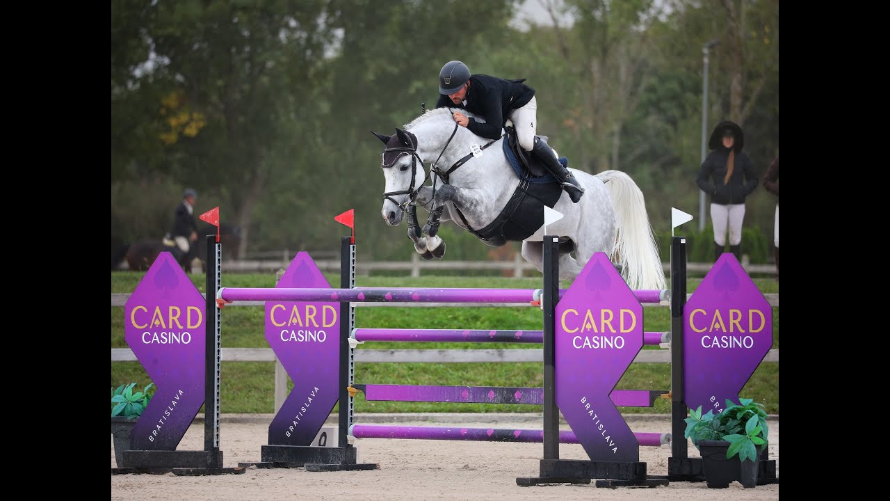 Liverpoool, 11y old gelding, hunter/EQ/GP Jumper
