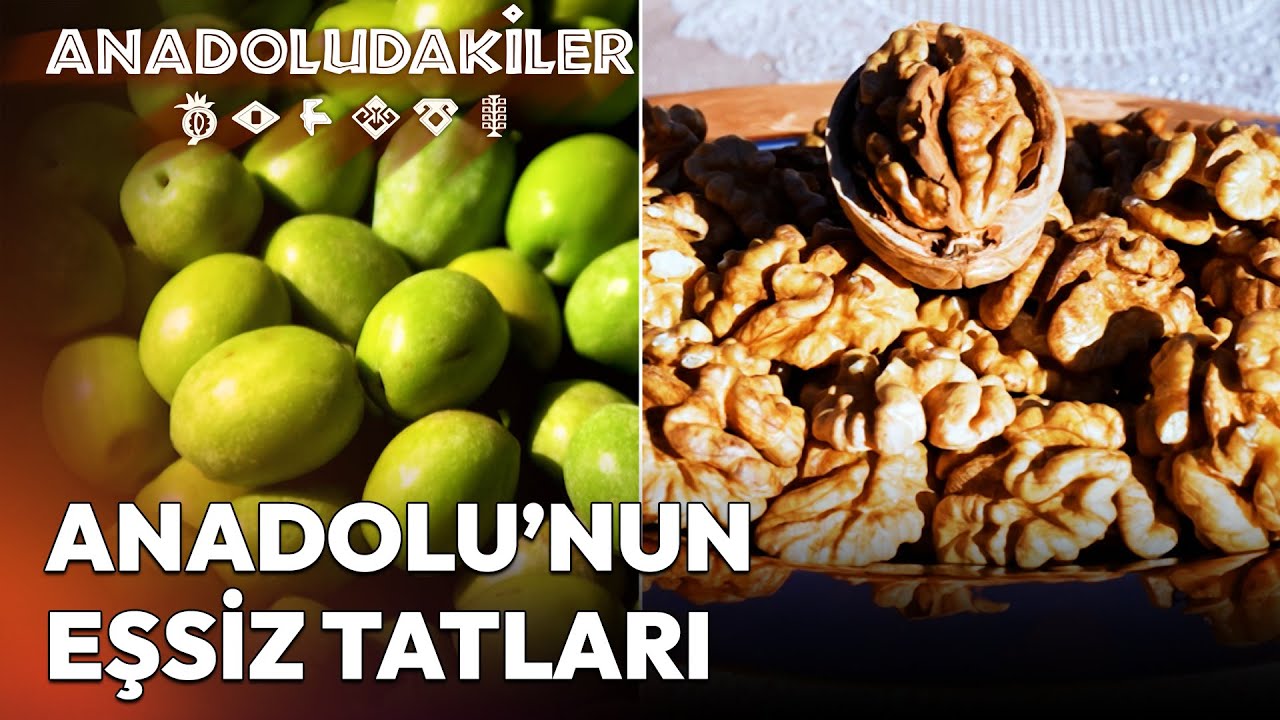 Hatay'ın Lezzet Hazineleri: Halhalı Zeytini ve Çaylayancerit Cevizi | Anadoludakiler