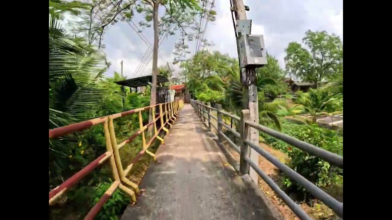 VDO🚴‍♂️🚴‍♂️ปั่นจักรยานกันค่ะ ตลาดน้ำบางน้ำผึ้ง🐝เริ่มจากวัดบางน้ำผึ้งในถึงวัดบางน้ำผึ้งนอก #cycling 