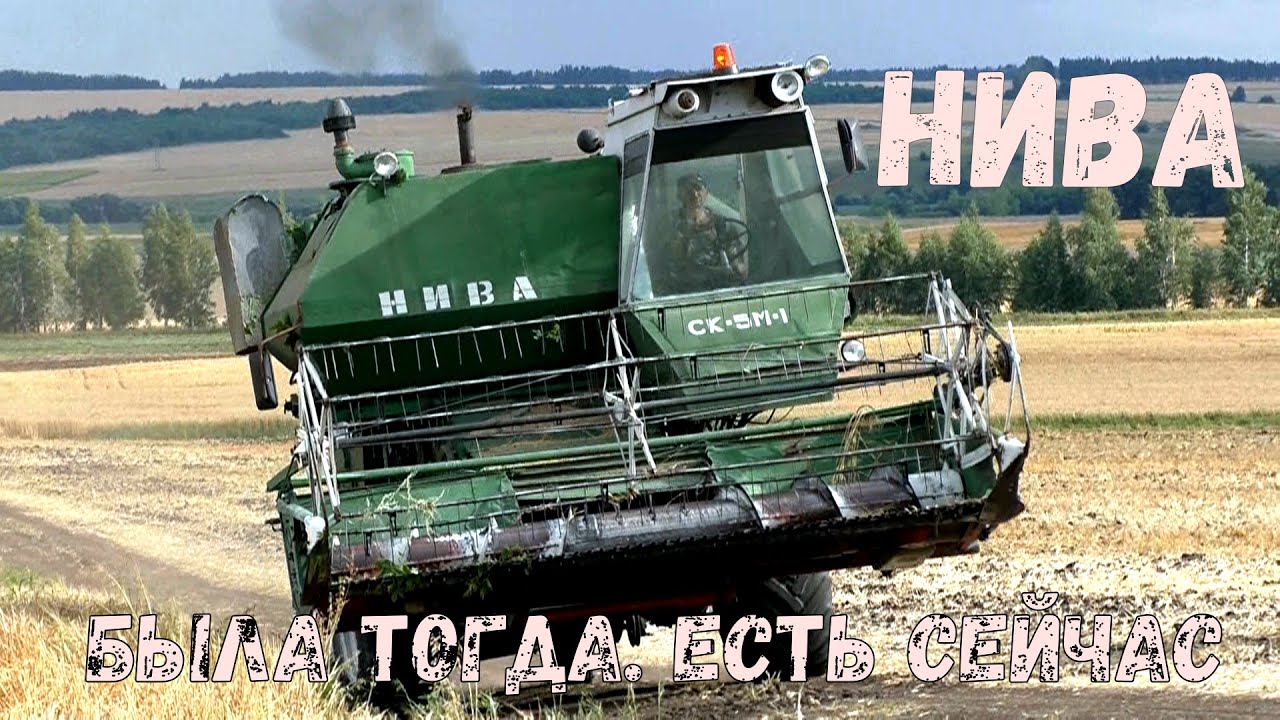 Комбайны Нива. Старые добрые помощники крестьян. Уборочная 2020