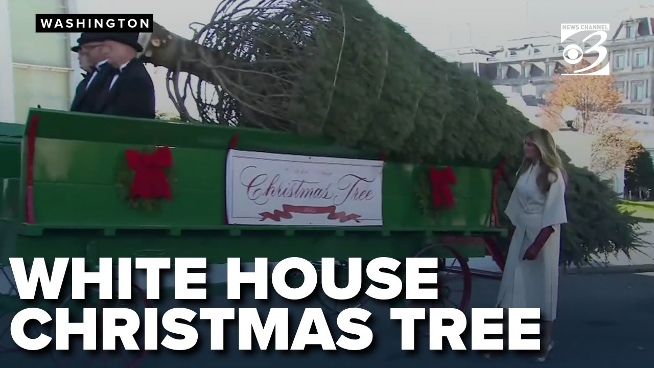 Melania trump accepts White House Christmas tree delivery