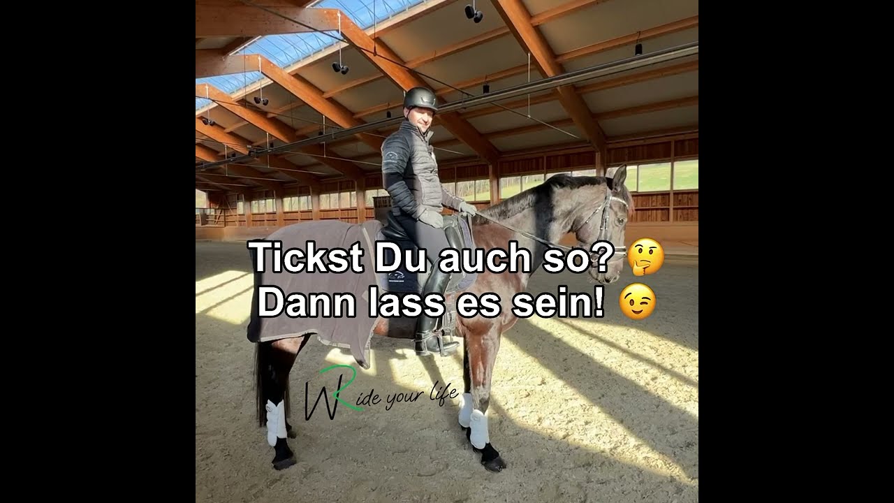 Deine Angst reitet mit? Hier liegt der Fehler, denn deine Angst am Pferd beim Reiten muss nicht sein