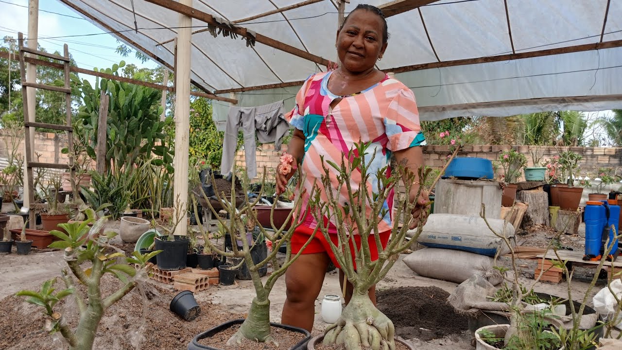 BOM DIA, AMANHECI PODANDO E REPLANTANDO!! 🌱🥰