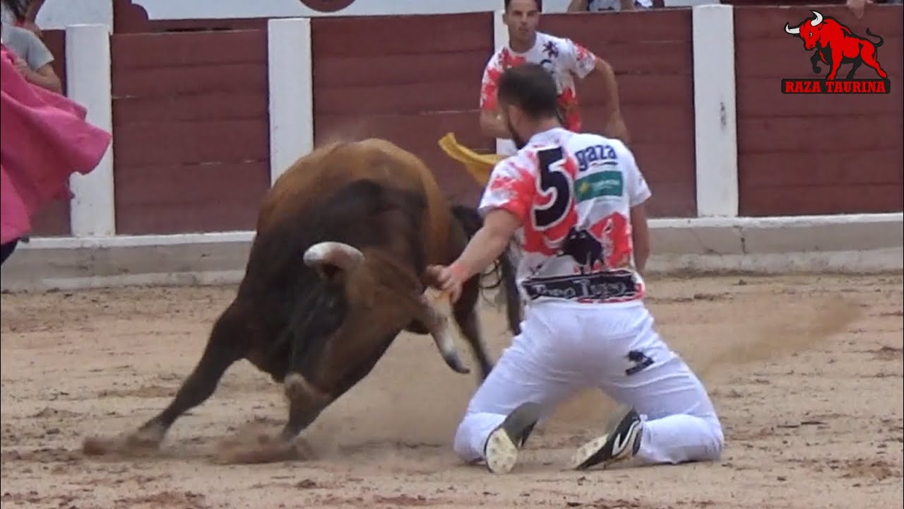 II eliminatoria del III Campeonato Regional de Cortes de Castilla y León. Zamora. 23 Junio 2019
