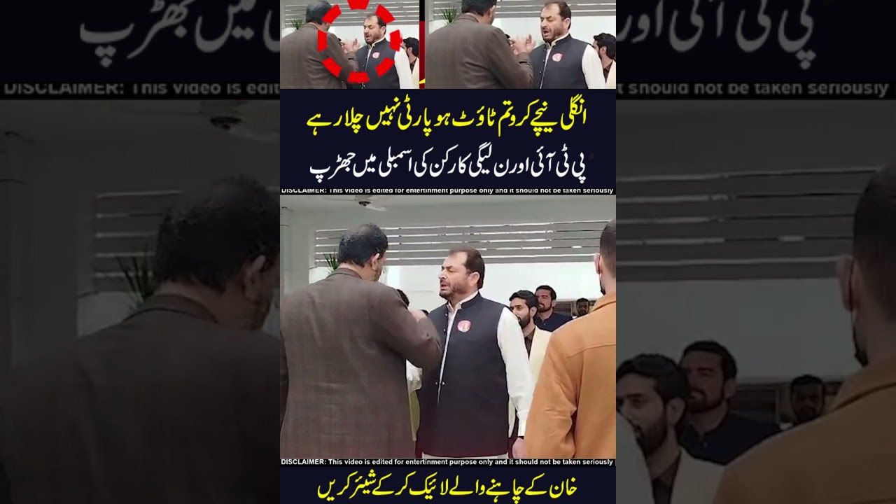 pmln vs pti worker in assembly 😱😱#latestnews #ikan #imrankhan #pti #pmln