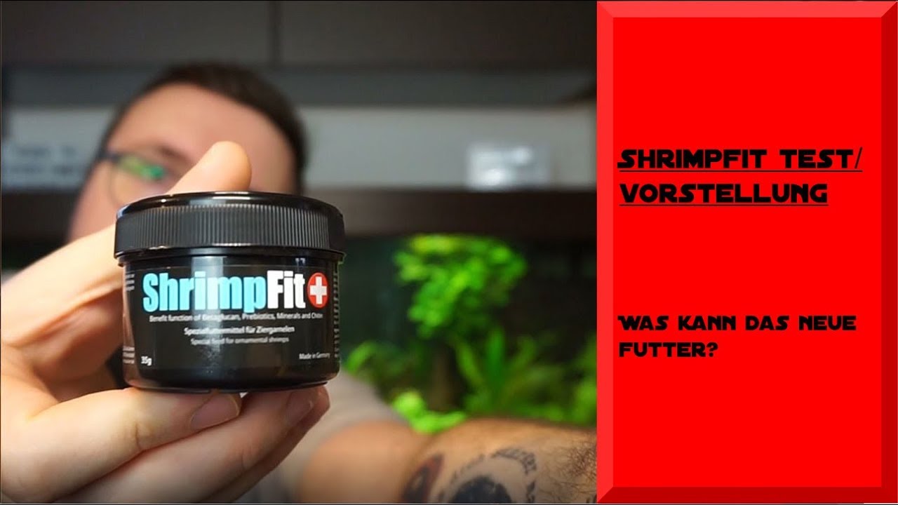 SHRIMPFIT VORSTELLUNG / TEST