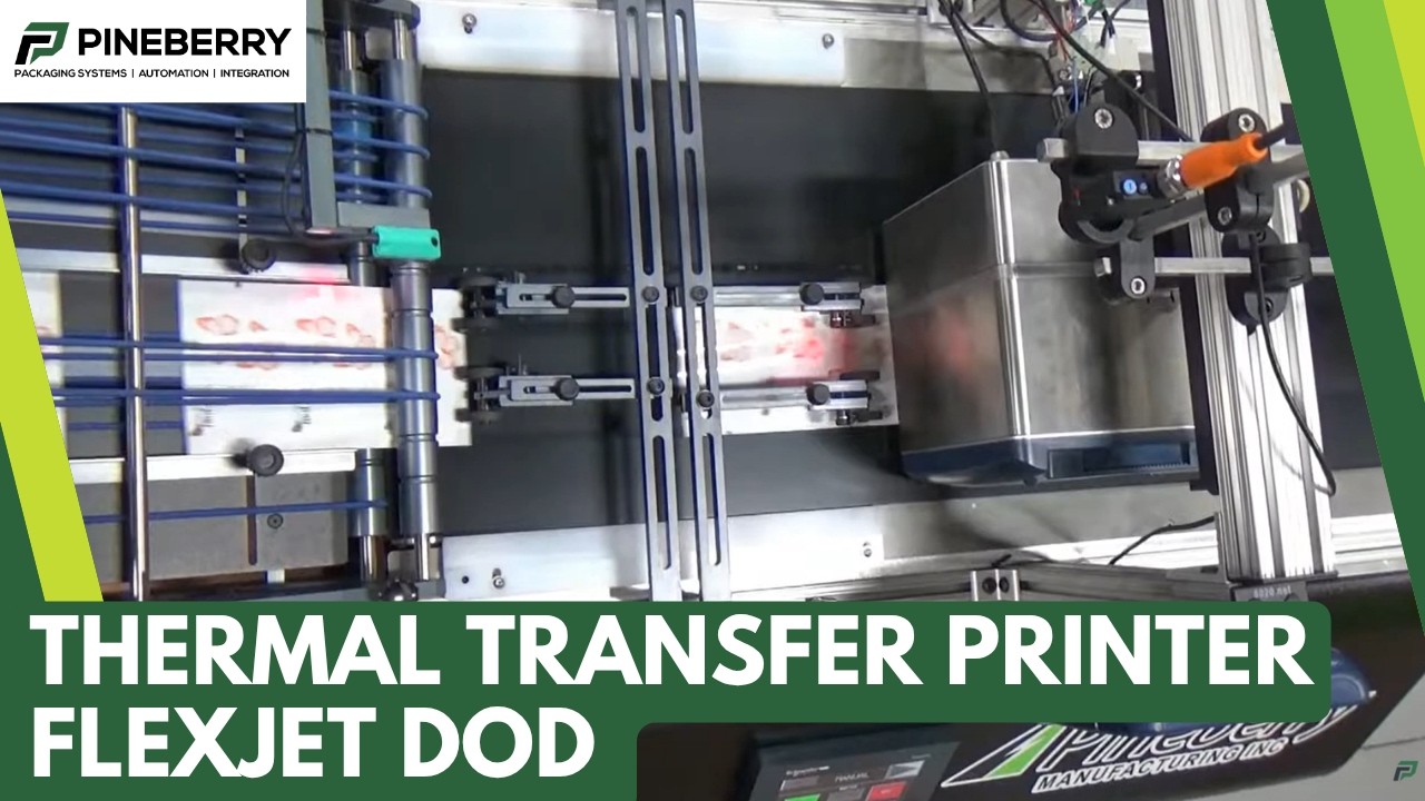 Pineberry FlexJet DOD with Domino V220i Thermal Transfer Printer