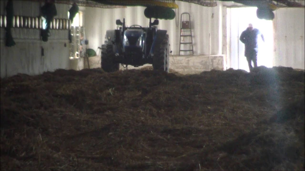 Azienda Agricola Greco:  preparazione capannone avicolo.