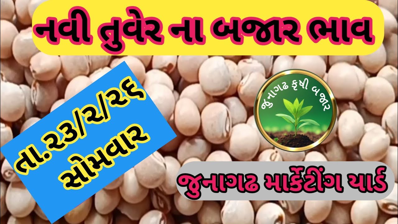 નવી તુવેર ના બજાર ભાવ જુનાગઢ તા.23/2/26 સોમવાર 