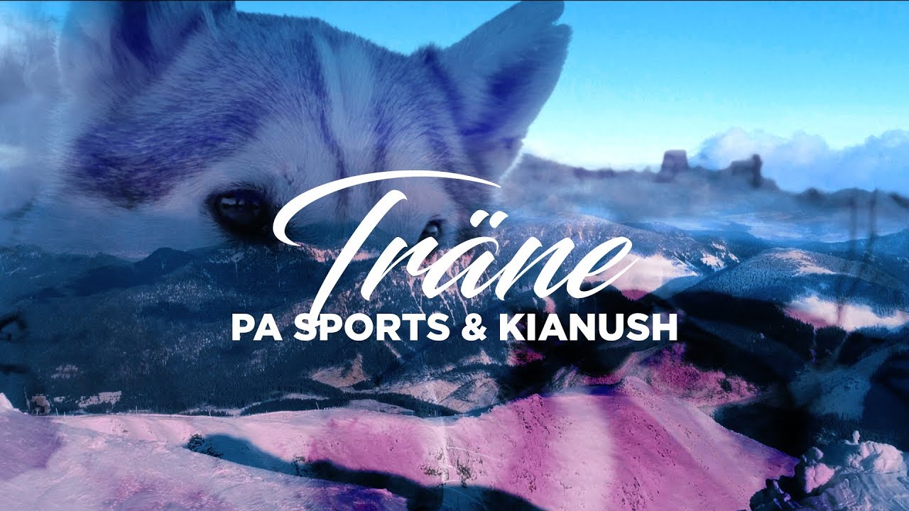 PA Sports & Kianush - Tr&auml;ne 4K (prod. by Zinobeatz & Jermaine P.)