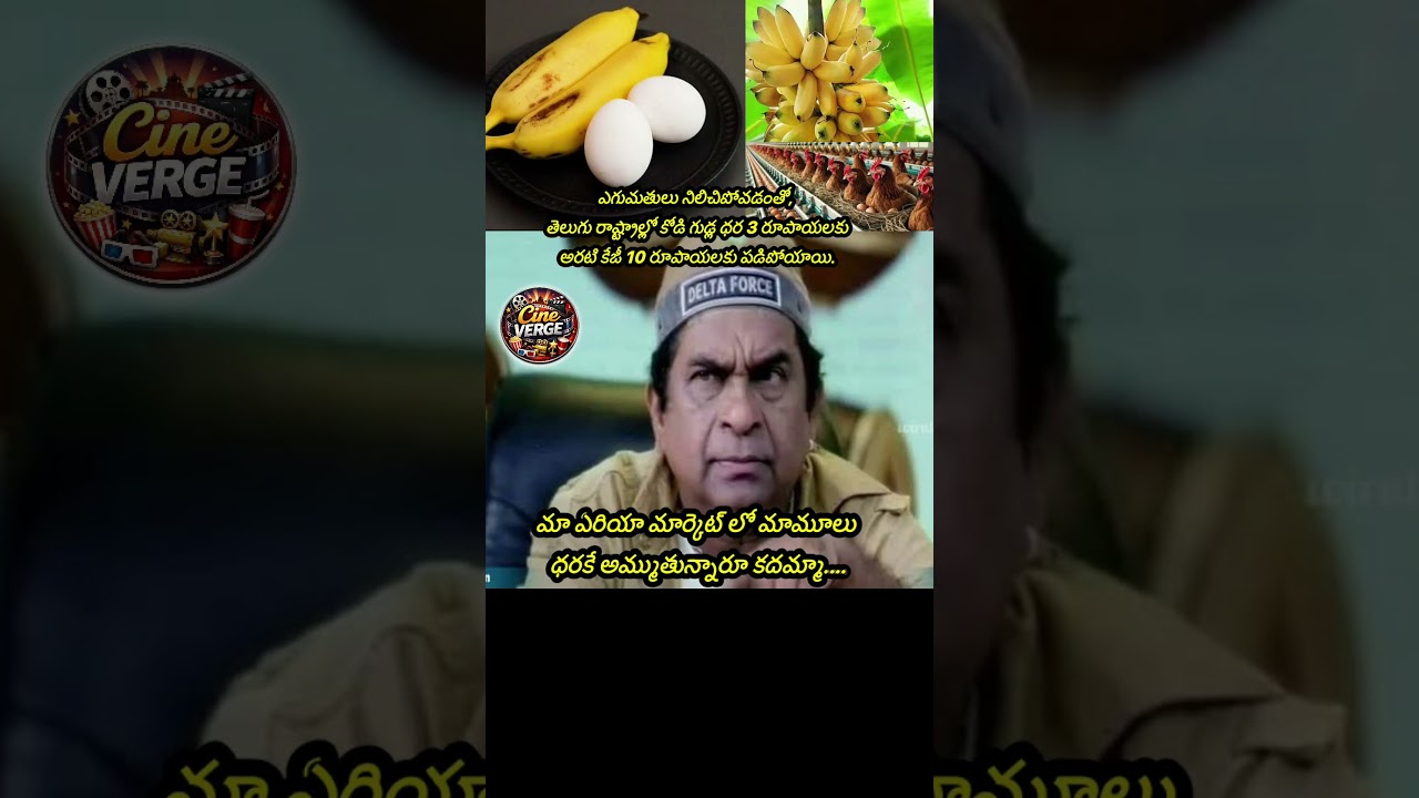 Egg And Banana Prices Crash To RecordLows In Telugu States Amid Export Halt