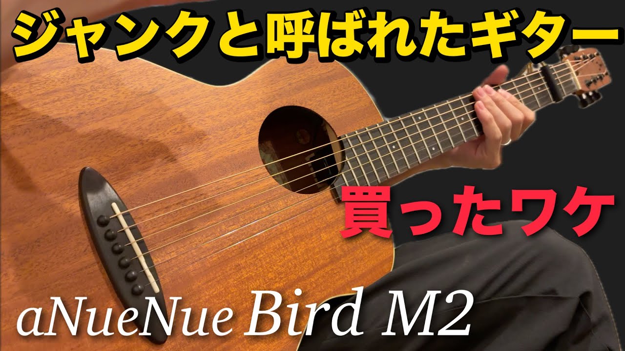 Anuenue Bird M2 ジャンクと言われたギターで楽しむ
