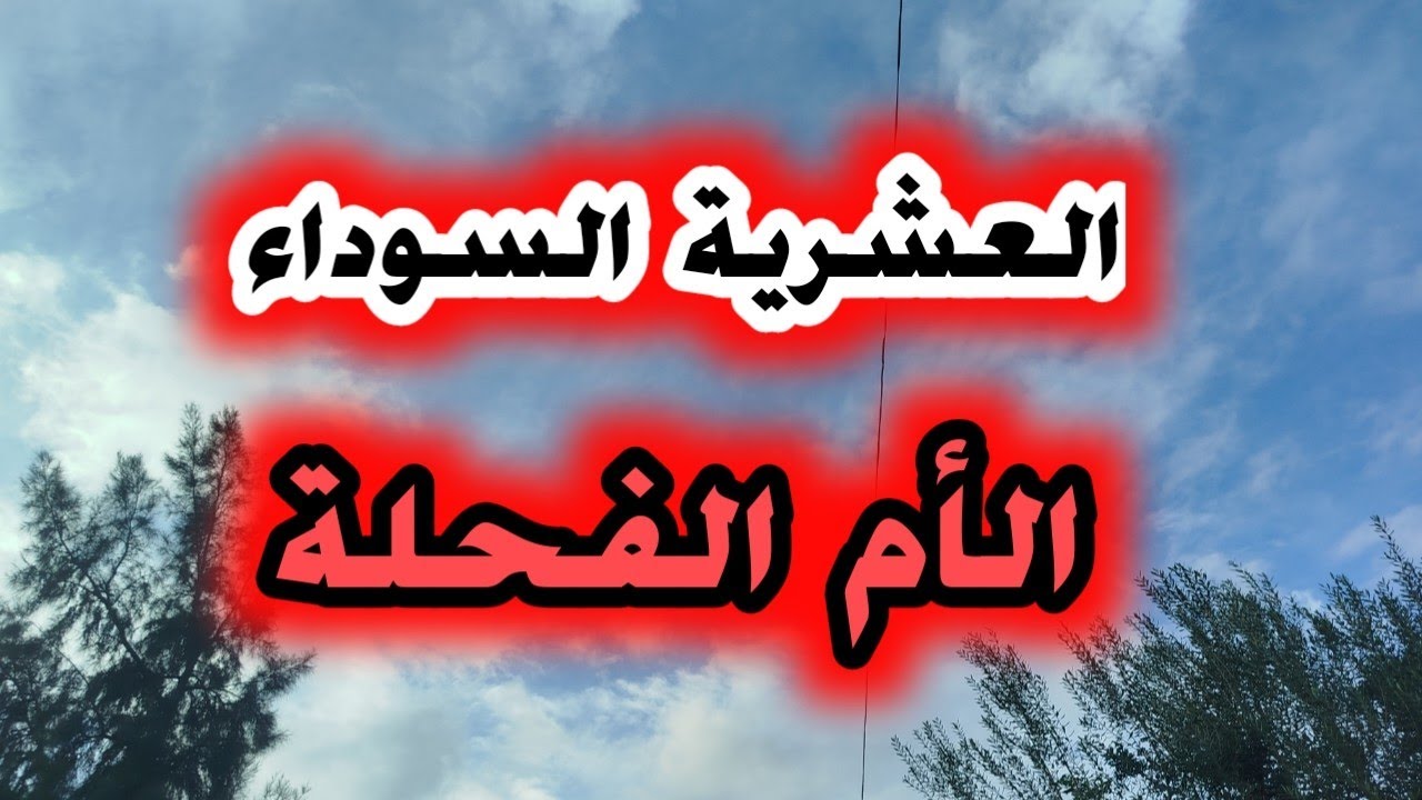 #قصص العشرية/فطنة وشجاعة الأم الفحلة في انقاض ابنها البوليسي من هجوم المسل_حين...