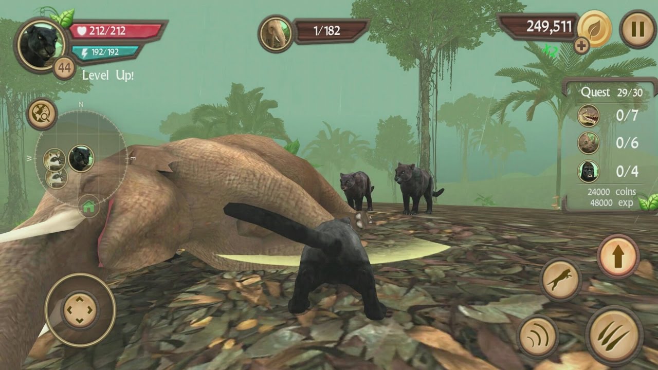 Wild Panther Sim 3D Android Gameplay #20
