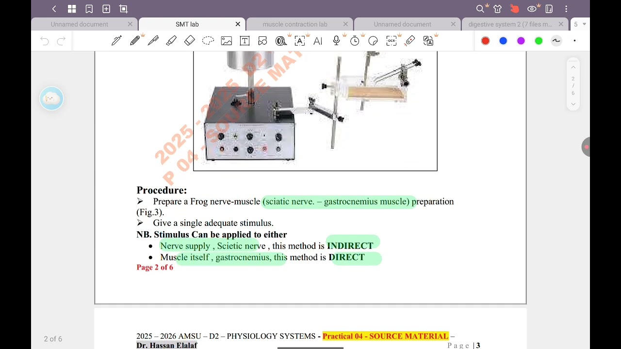 Simple muscle twitch. / Physiology 