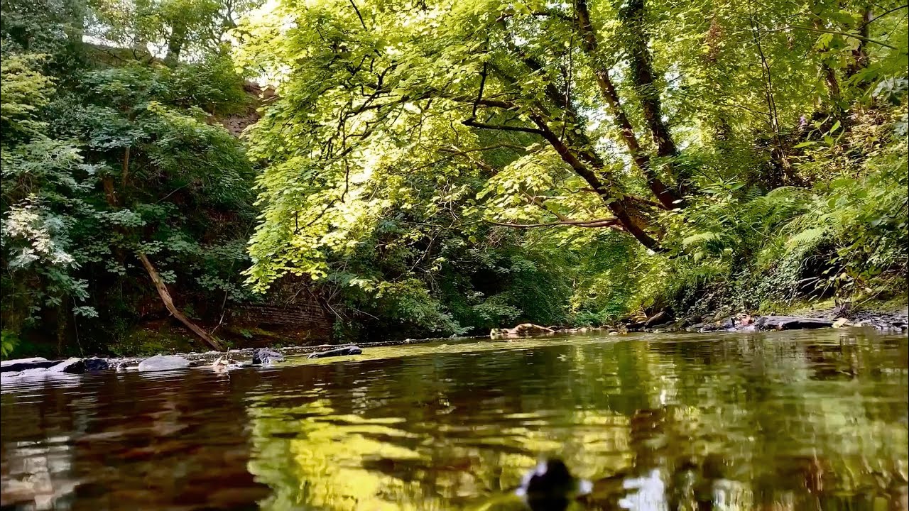 Reflections in the waters of the River Etherow as it runs through the Etherow Country Park.