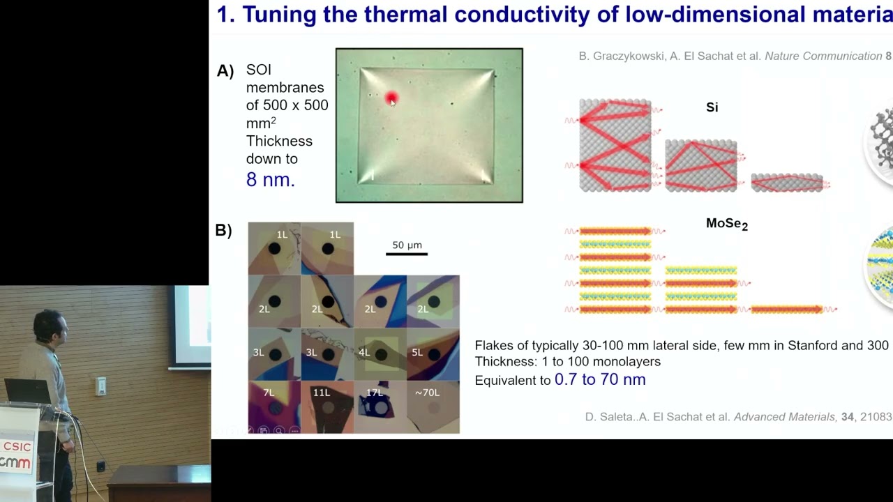 Thermal transport engineering in low-dimensional materials and devices,  by Alexandros El Sachat
