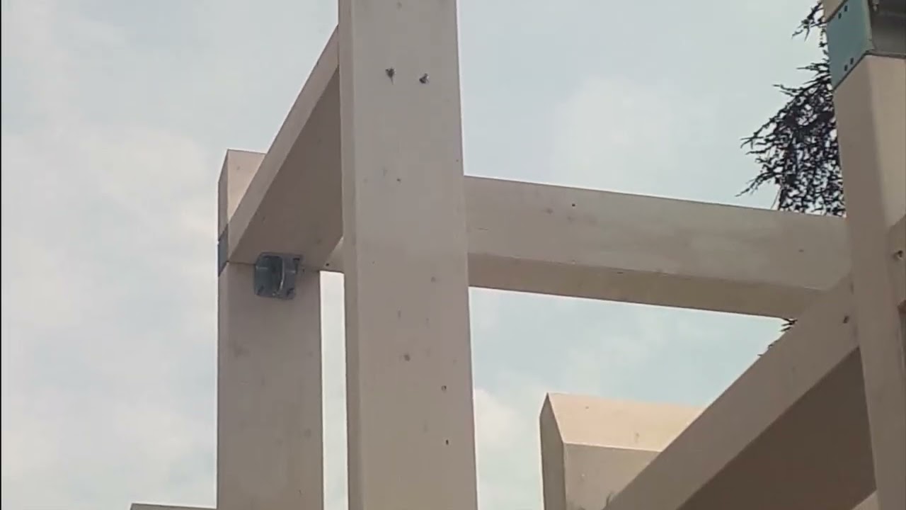 WoodBeton_Fabbrica del futuro