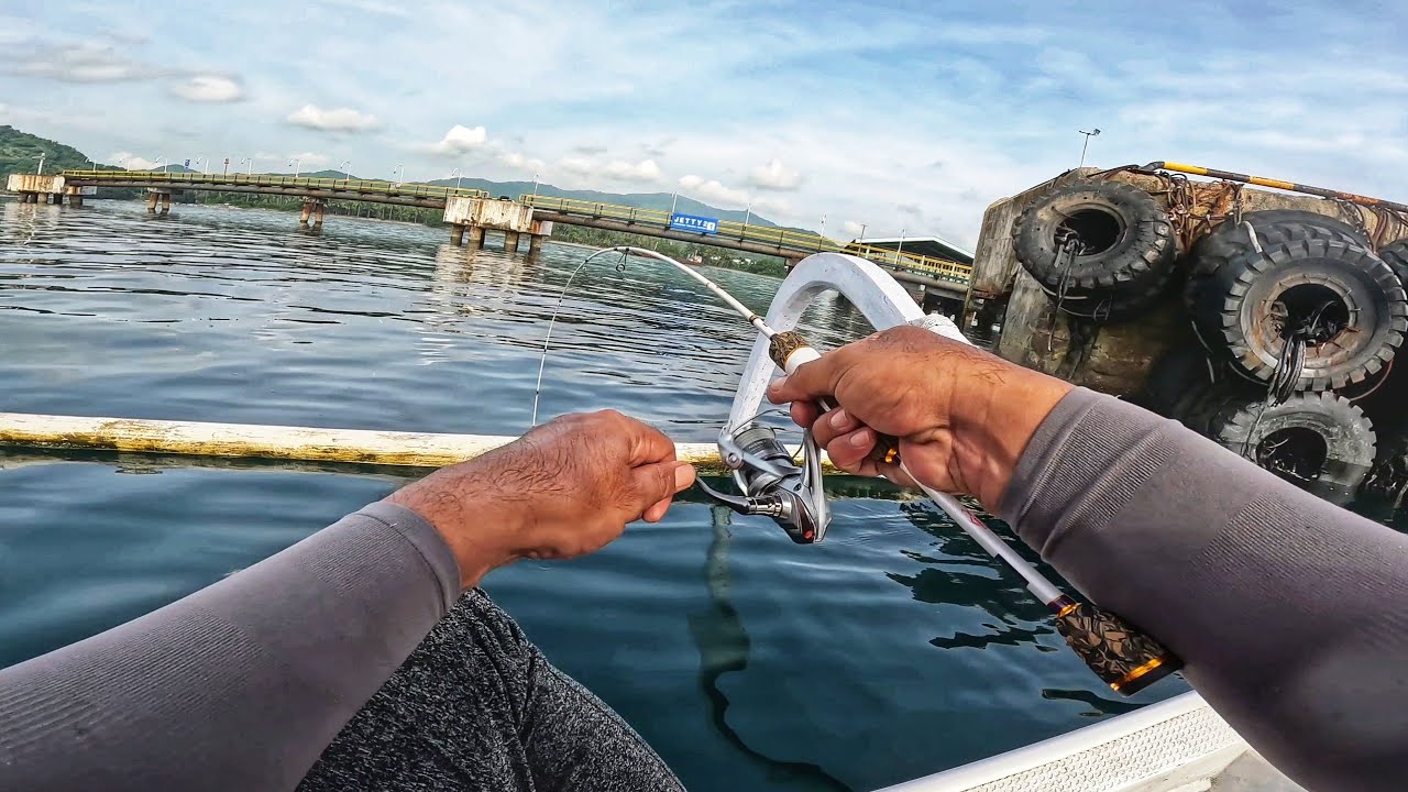 IKAN BERKUMPUL DEKAT KILANG MINYAK !!  #269