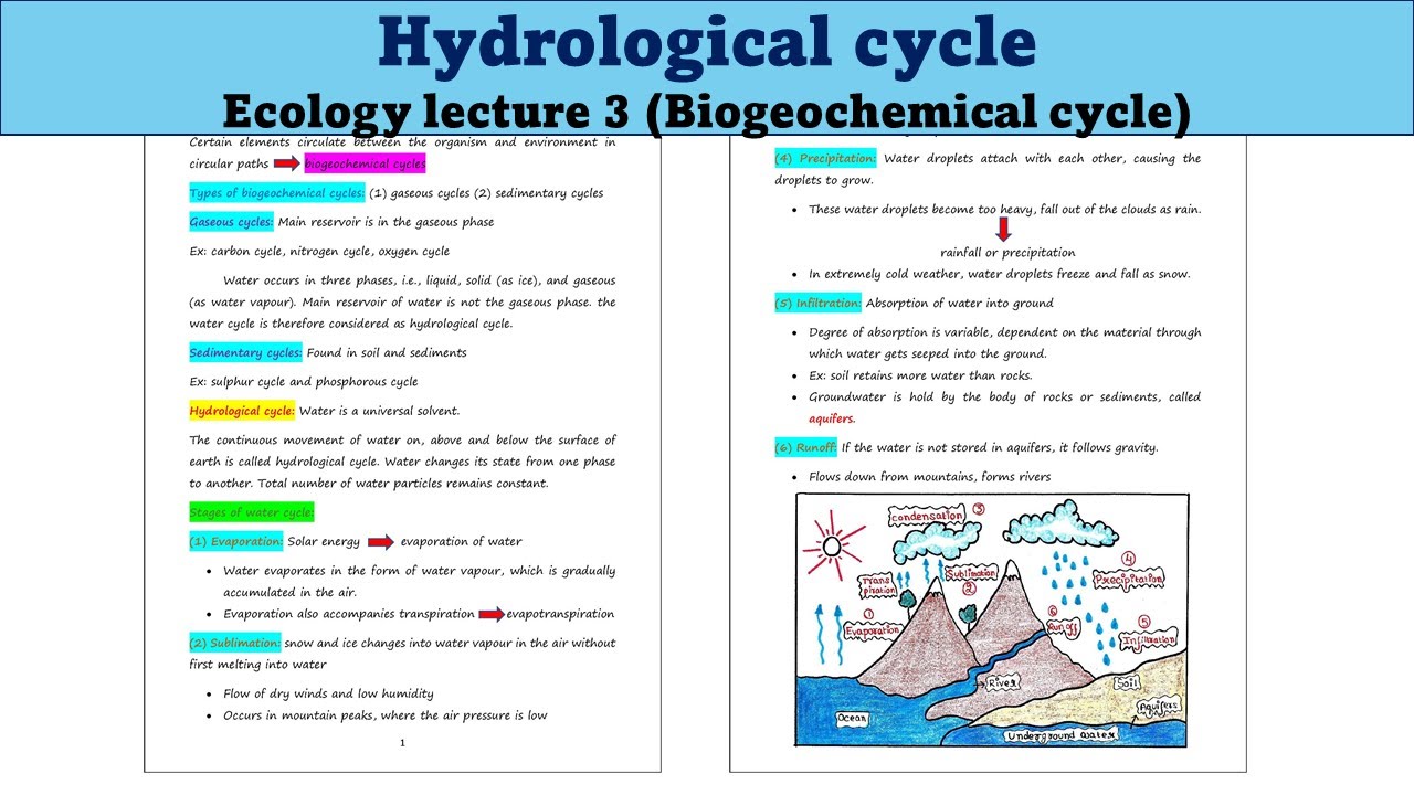 Hydrological Cycle | Water Cycle | Biogeochemical cycle | Ecology lecture 3 | UG | PG | UPSC