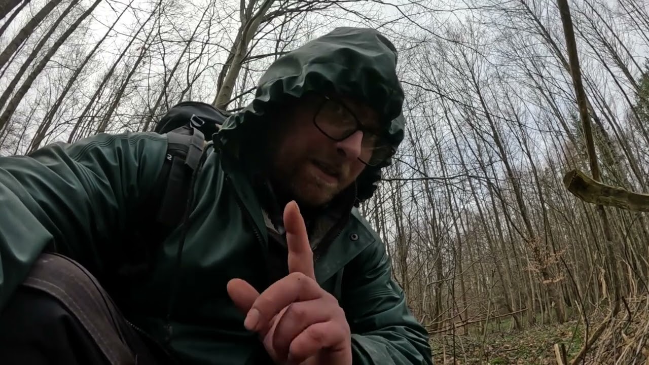 Pogoda paskudna ale grzybów w marcu pełne wiaderko. #bushcraft #survival #zioła #grzyby #spacer