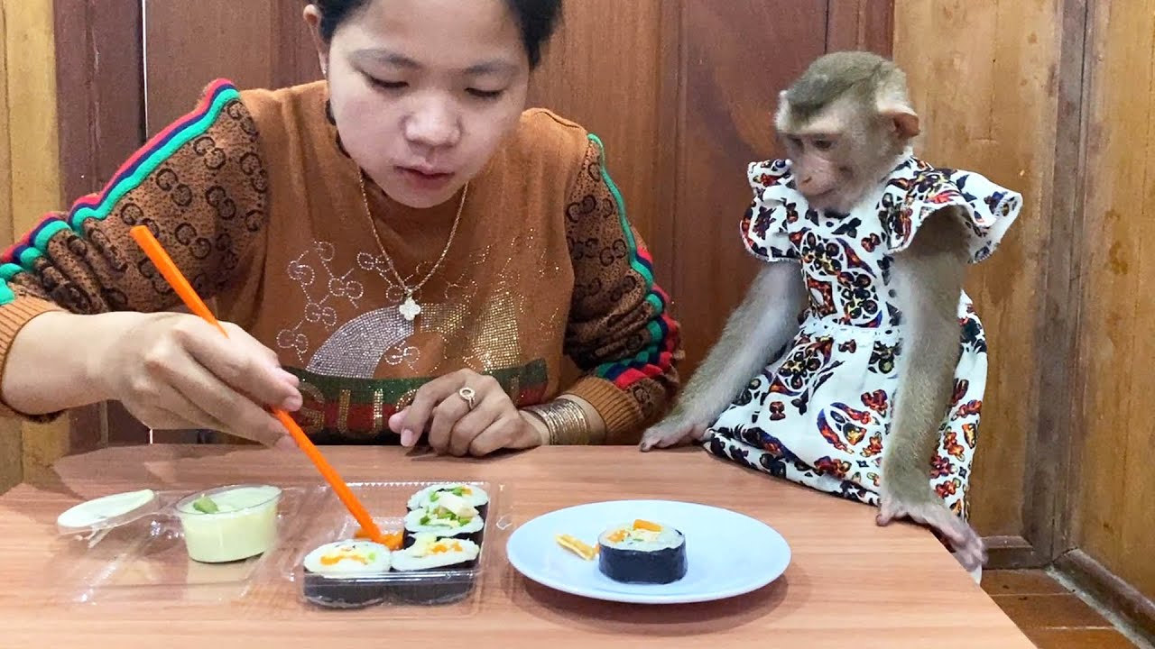[New Food Taste] Judee Tidy Sit Wait Mom Feed SushiDish