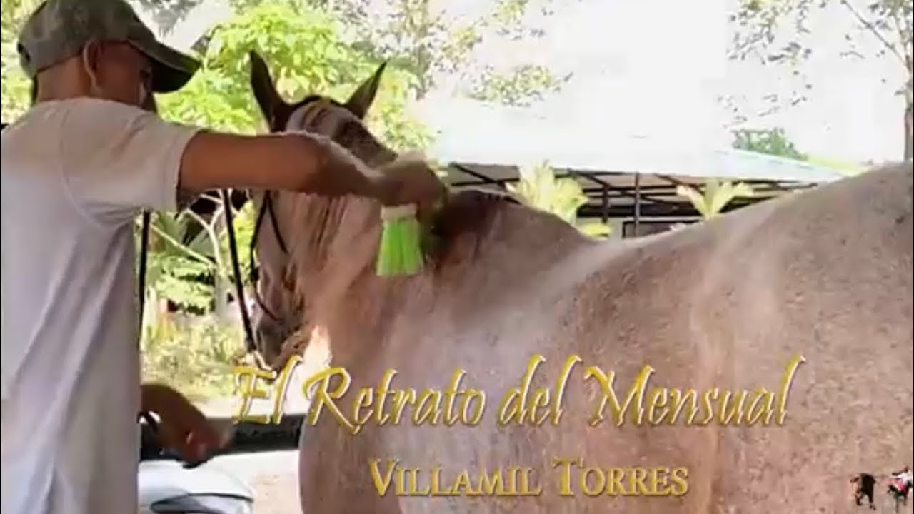 El Retrato del Mensual - Villamil Torres 