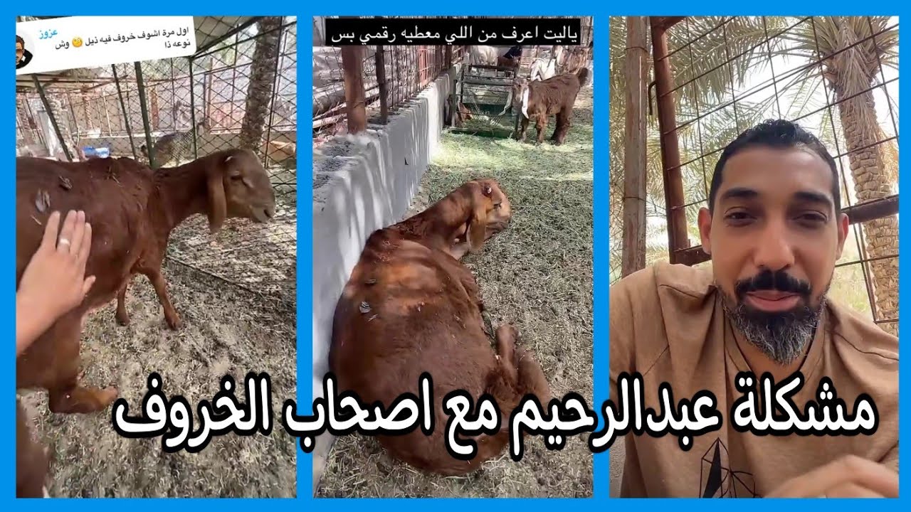 مشكلة عبدالرحيم مع النصابين اصحاب الخروف اللي ضايع 😱 \ سناب عبدالرحيم Bingoo