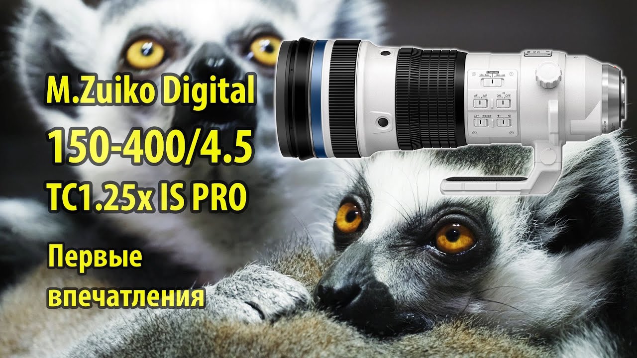 Объектив M.Zuiko Digital ED 150-400/4.5 TC 1.25x IS PRO - первые впечатления