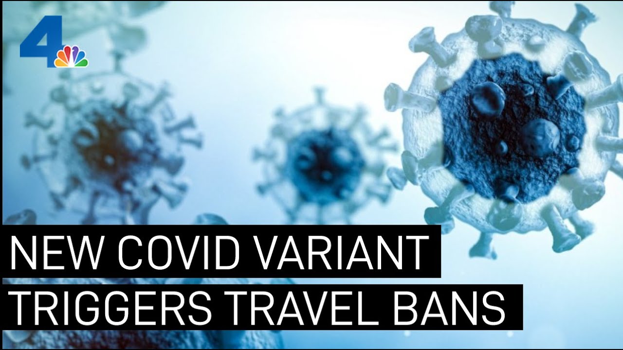 New 'Omicron' COVID-19 Variant Prompts Travel Ban for Several Countries | NBCLA