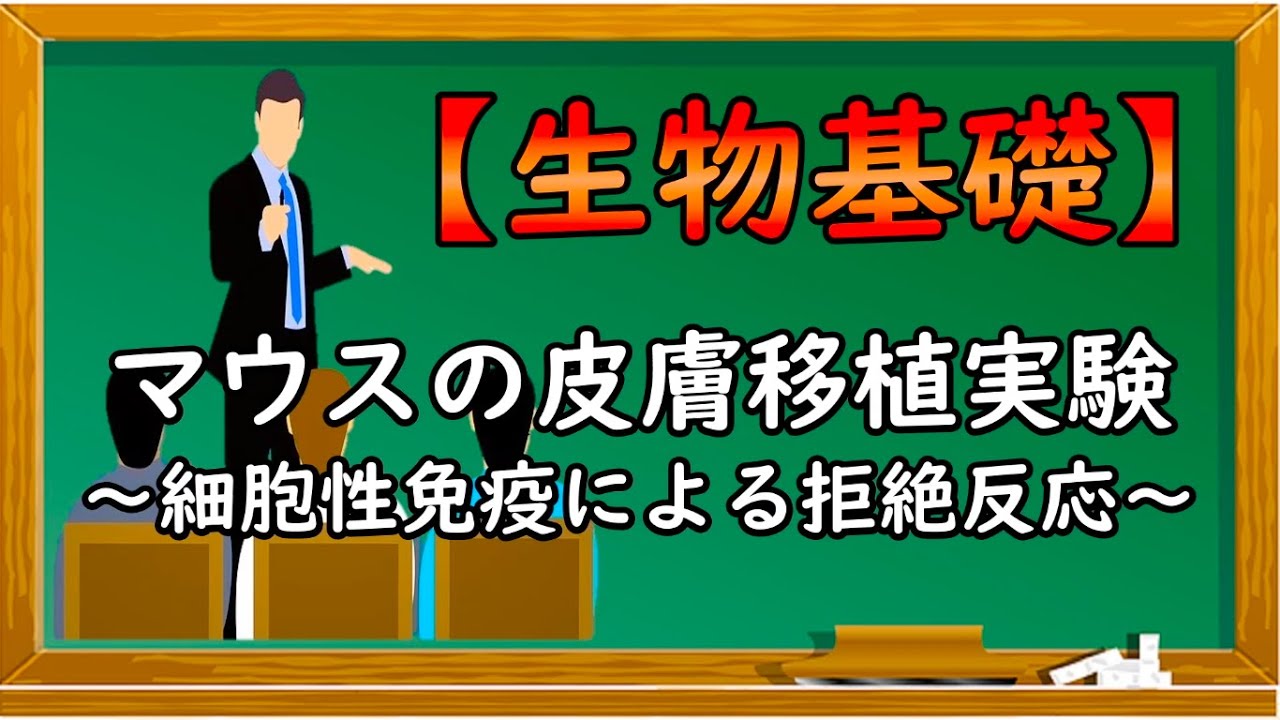 高校生物基礎『マウスを用いた皮膚移植実験〜細胞性免疫による拒絶反応〜』オンラインで高校授業