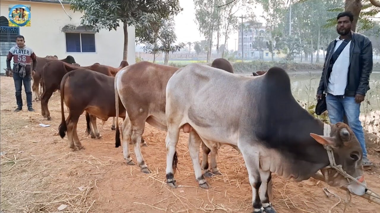 @ আজ ২২ জানু